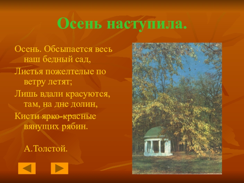 Наступила осень после. Осень наступает весь наш бедный сад. Стихи Льва Толстого осень. Лев толстой осень обсыпается весь наш бедный сад. Лев Николаевич толстой о осени.