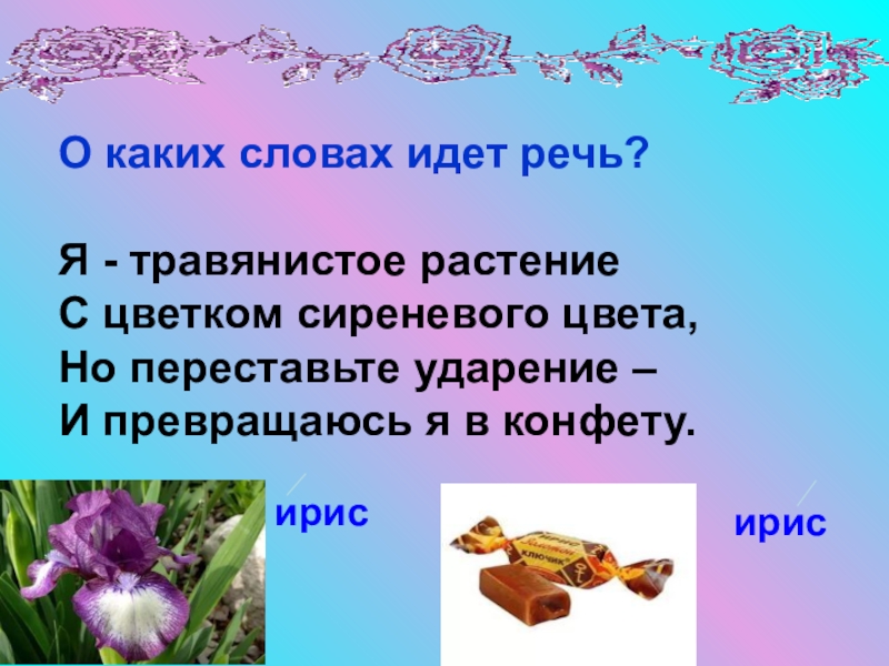 Речь идет о слове. Я травянистое растение с цветком сиреневого цвета но переставьте. Ирис конфеты презентация. Загадка я травянистое растение с цветком сиреневого. Ирис конфета ударение.