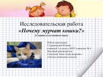 Презентация по окружающему миру