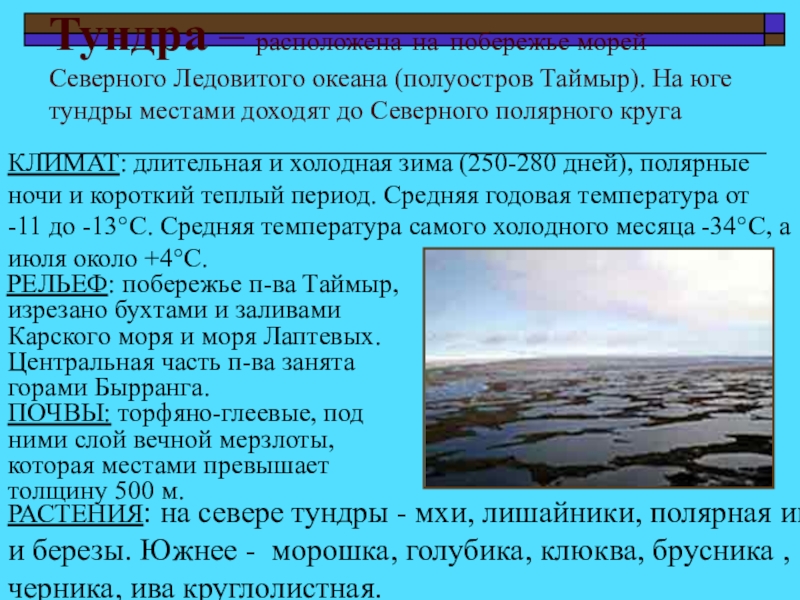 Особенности северного ледовитого. Полуостров Таймыр климат. Тундры на полуострове Таймыр. Тундры на полуострове Таймыр кратко. Таймыр Тип климата.