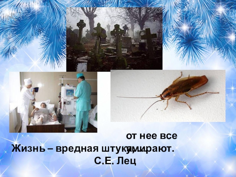 жизнь вреден. опасность для жизни. отказ от вредных причек. здоровый образ жизни вредные привычки. самые распространенные вредные привычки.