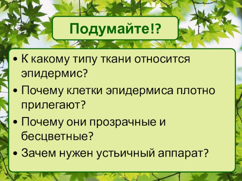 Обозначение страницы презентации это