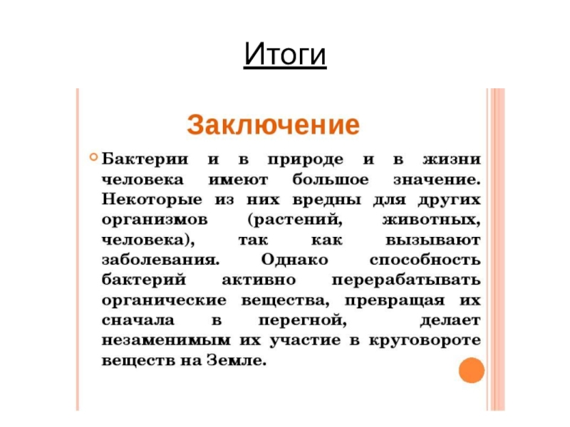 Презентация по биологии 10 класс бактерии