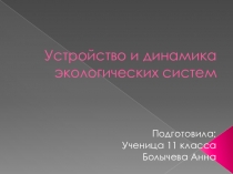Презентация по биологии на тему Устройство и динамика экологических систем (11 класс)