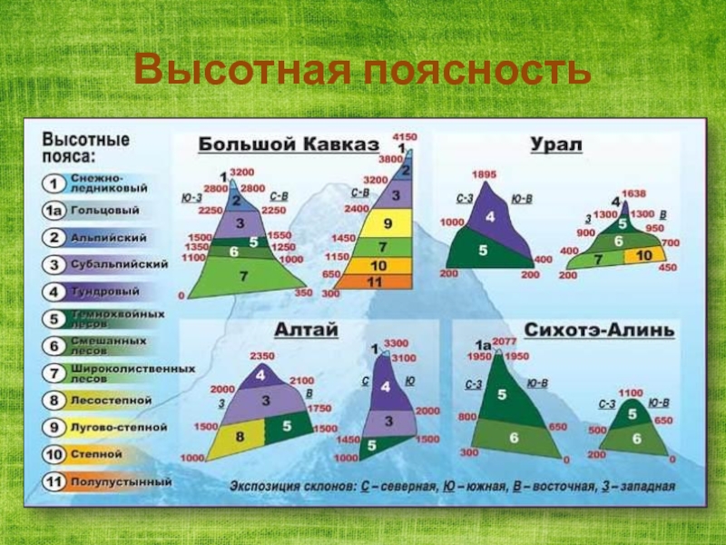 Высотные природные зоны. Высотная поясность Евразии 7 класс география. Высотная поясность? Природные пояса. Природные зоны ВЫСОТНОЙ поясности. Урал Высотная поясность география.