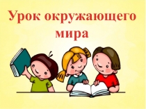 Презентация к уроку окружающего мира. 2 класс .Объекты природы