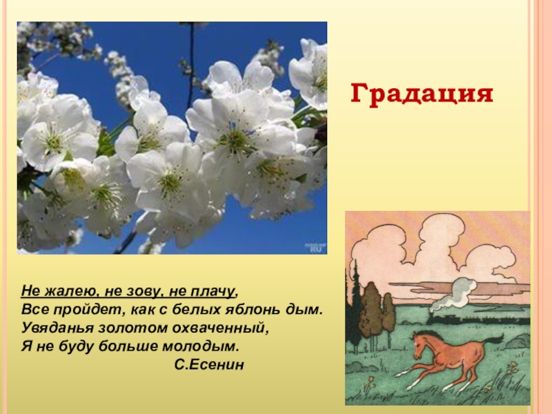 Белых яблонь дым средство. С белых яблонь дым. Всё прошло как с белых яблонь дым. Как с белых яблонь дым. Стихотворение все пройдет как с белых яблонь дым.