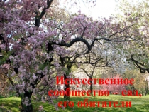 Презентация по окружающему миру на тему  Искусственное сообщество сад, его обитатели (4 класс)