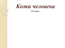 Презентация по биологии Кожа человека, 8 класс