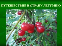 Игра-презентация Путешествие в Легумию по биологии 6 класс