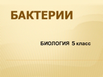 Конспект урока по биологии на тему: Бактерии(5 класс)