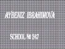 The First Lady Of Azerbaijan