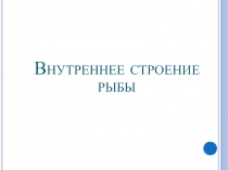 Внутренне строение рыб ( 7 класс)