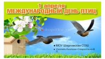 Презентация мероприятия День птиц.