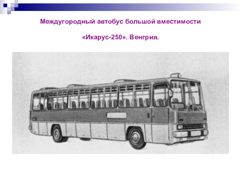 Рисунок икарус 256