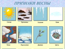 Презентация к открытому уроку по трудовому обучению Подснежники (1 класс коррекционной школы)