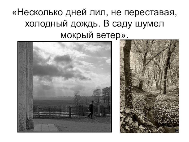 Вид переставать. Несколько дней лил не переставая холодный дождь в саду шумел. Несколько дней лил холодный дождь. Несколько дней лил дождь не переставая. Несколько дней лил не переставая холодный.