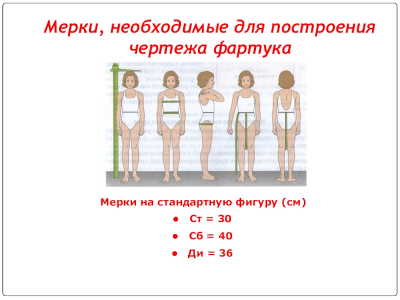 Мерки, необходимые для построения чертежа фартукаМерки на стандартную фигуру (см)Ст = 30Сб = 40Ди = 36