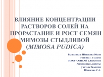 Влияние различных концентраций солей на прорастание и рост семян Мимозы стыдливой (MIMOSA PUDIKA)
