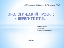Презентация экологического проекта Берегите птиц