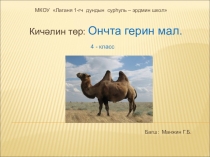 Кичәлин төр: Ончта герин мал.