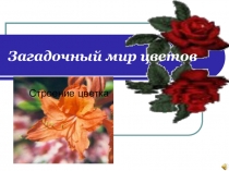 Презентация к интегрированному уроку биологии и искусства по теме Загадочный мир цветов (6 класс)