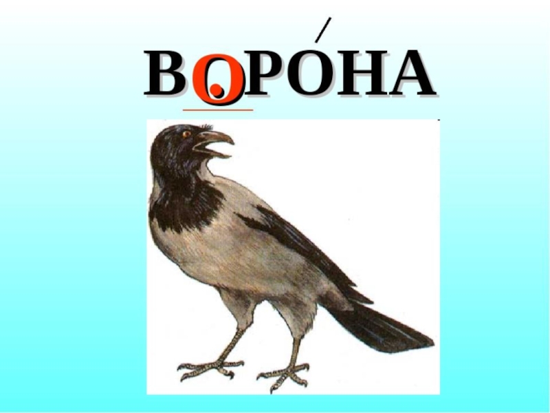 Ворон слова. Слово ворона. Ворона с надписью. Словарное слово ворона в картинках. Ворон словарное слово.