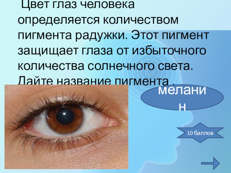 Цвет глаза зависит от пигмента. Цвет глаз человека определяется. Цвет глаз человека определяется пигментом. Цвета глаз для презентации. Цвет глаз человека зависит от.