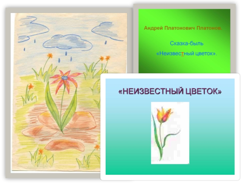 Рисунок к цветок на земле