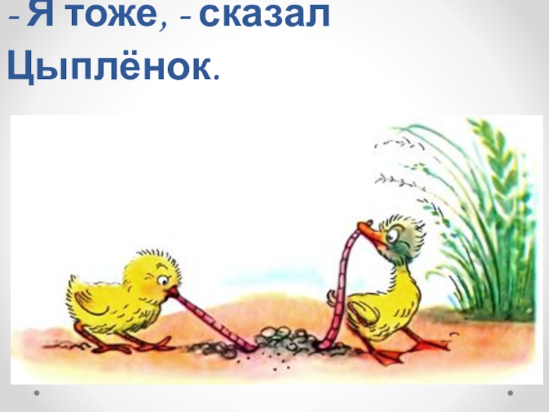 В сутеев цыпленок и утенок с прокофьева сказка о том что надо дарить презентация