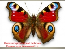 Дополнительный материал к окружающему миру по теме Живая природа весной. 2 класс