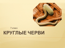 Презентация по биологии Круглые черви