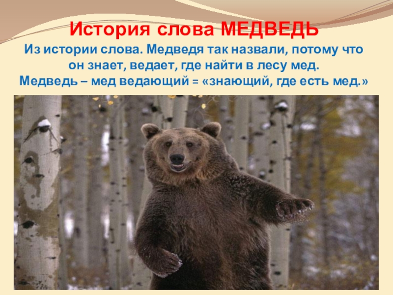 Какими словами можно заменить звуки медведя. История о медведях. Текст про медведя. Происхождение слова медведь. Медведь этимология.