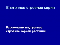 Презентация по биологии на тему  Корневое строение(6 класс)