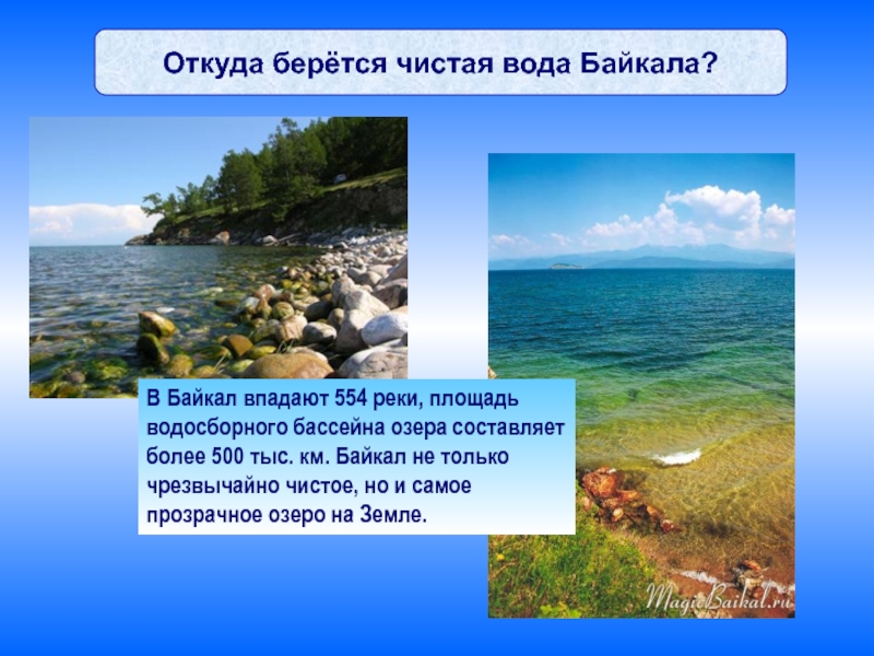 Процент воды в байкале. Чистая вода Байкала. Откуда берется чистая вода Байкала. Байкал чистота воды. Запасы пресной воды в Байкале.
