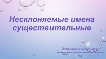 Презентация по русскому языку на тему Несклоняемые имена существительные.