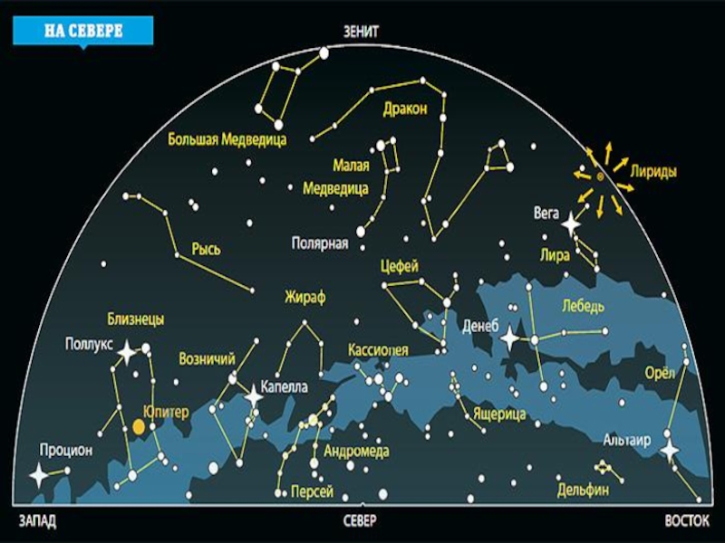 Какого созвездия не существует. Созвездия летнего неба Северного полушария. Карта звездного неба большая Медведица и малая Медведица. Карта звездного неба с названиями созвездий большая Медведица. Карта звездного неба Северного полушария с созвездиями.