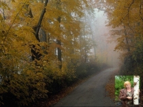 Презентация экскурсии на тему Экскурсия в лес