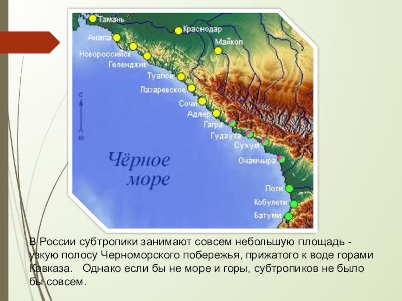 Карта осадков черноморского побережья