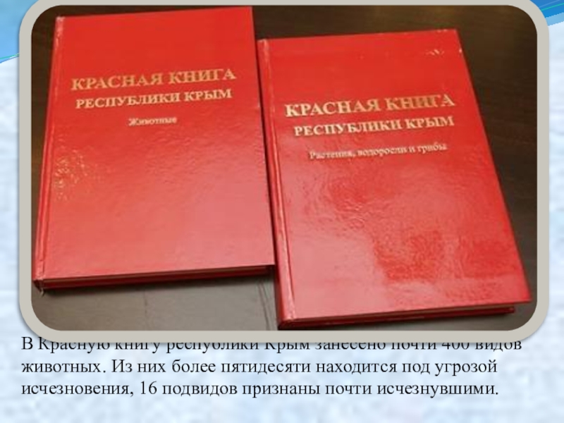 Презентация красная книга чеченской республики