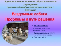 Проект Бездомные собаки. Проблемы и пути их решения