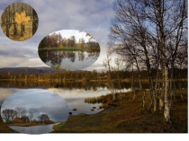 Презентация к уроку по окружающему миру 2 класс на тему В гости к осени