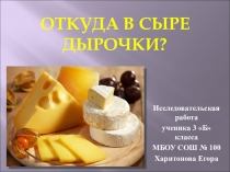 Детская исследовательская работа на тему Откуда в сыре дырочки?