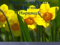 Презентация по технологии на тему Цветок - Нарцисс. Поделка из бумаги. 2 класс