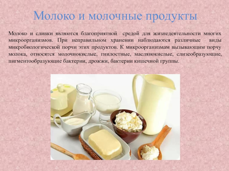 Презентация молоко и молочные продукты 6 класс презентация