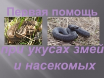Презентация к уроку - первая помощь при укусах змей