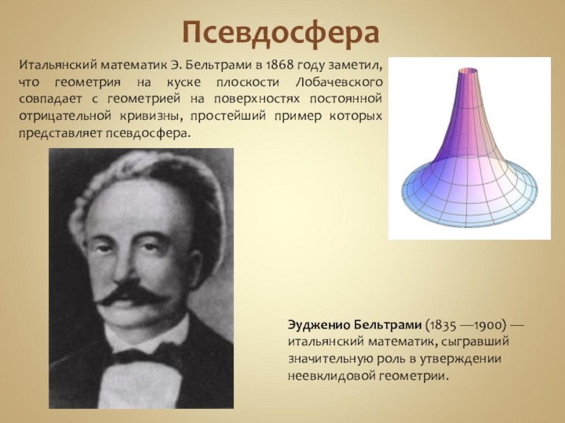 Неевклидова геометрия проект по математике