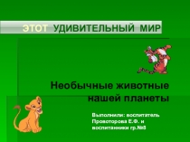 Необычные животные нашей планеты