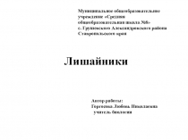 Презентация по биологии Лишайники
