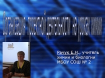 Организация проектной деятельности на уроках химии